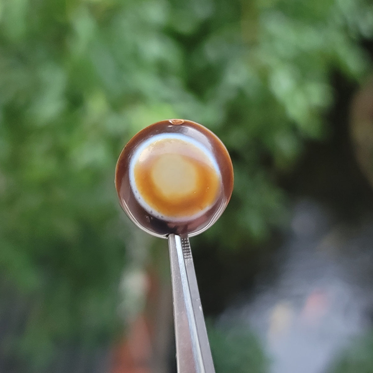 Vintage Lukmik Goat Eye Tibetan Agate Bead