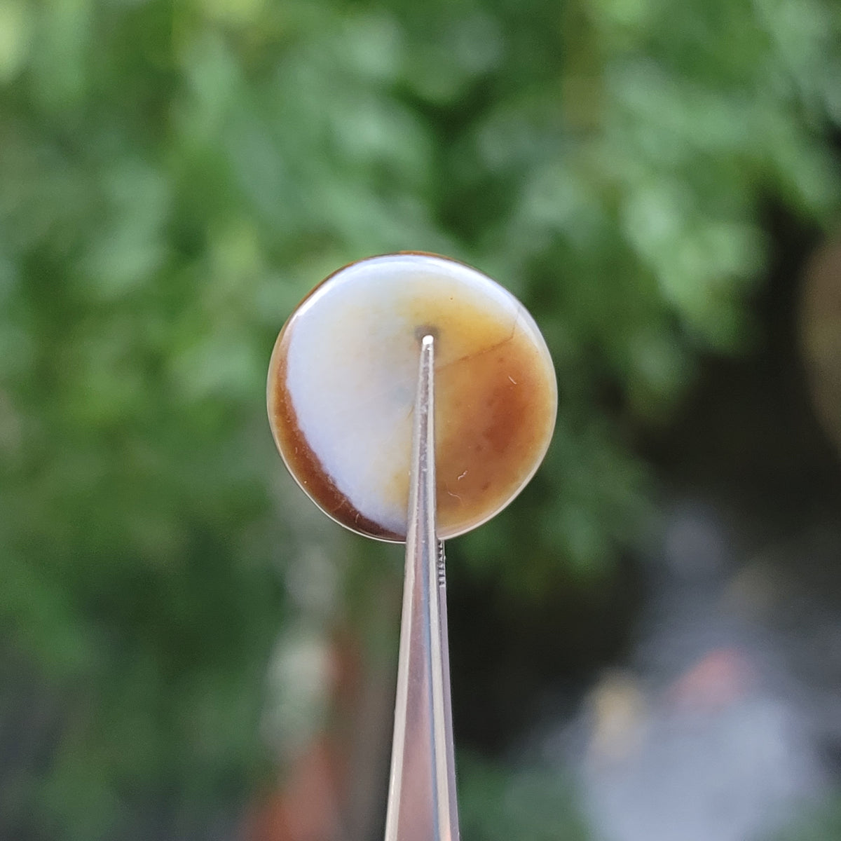 Vintage Lukmik Goat Eye Tibetan Agate Bead