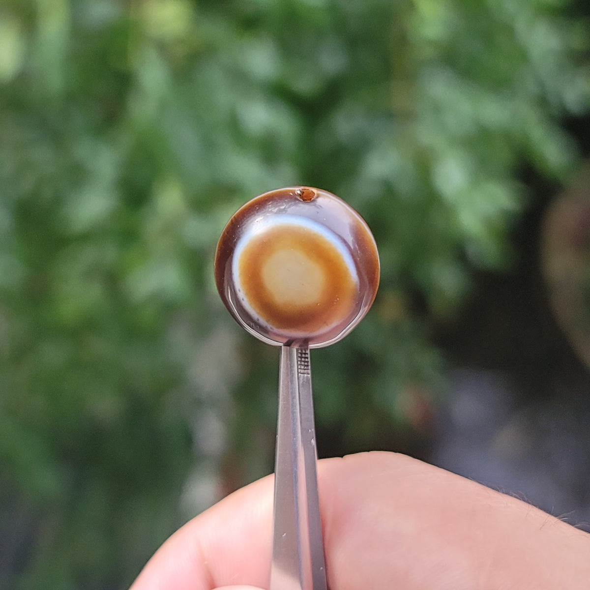 Vintage Lukmik Goat Eye Tibetan Agate Bead