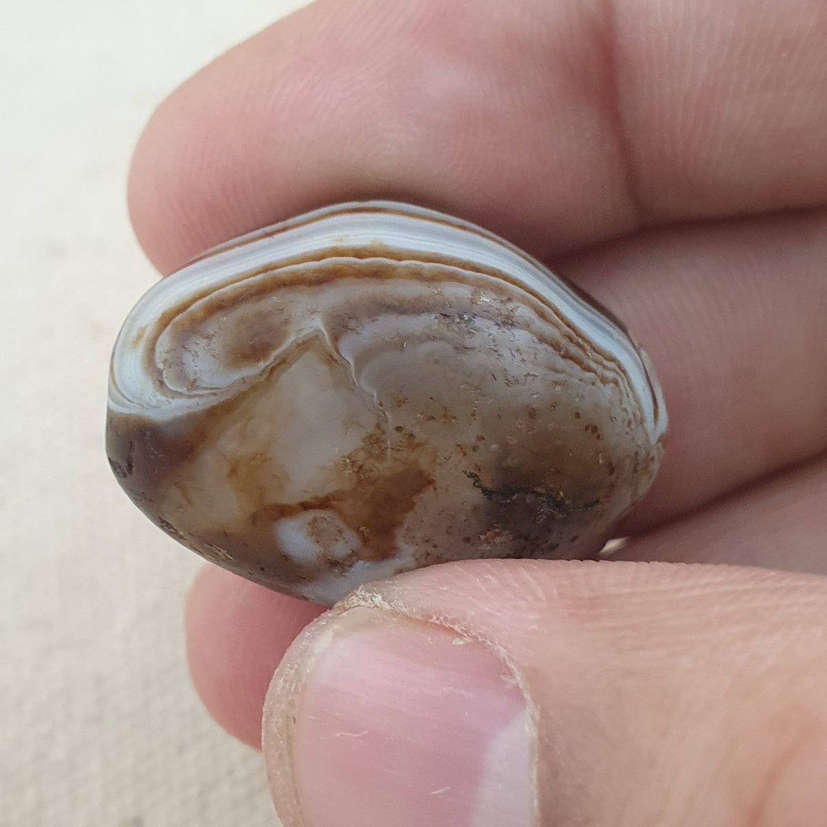 Natur Suliemani Augen Achate Perle Amulett Vintage