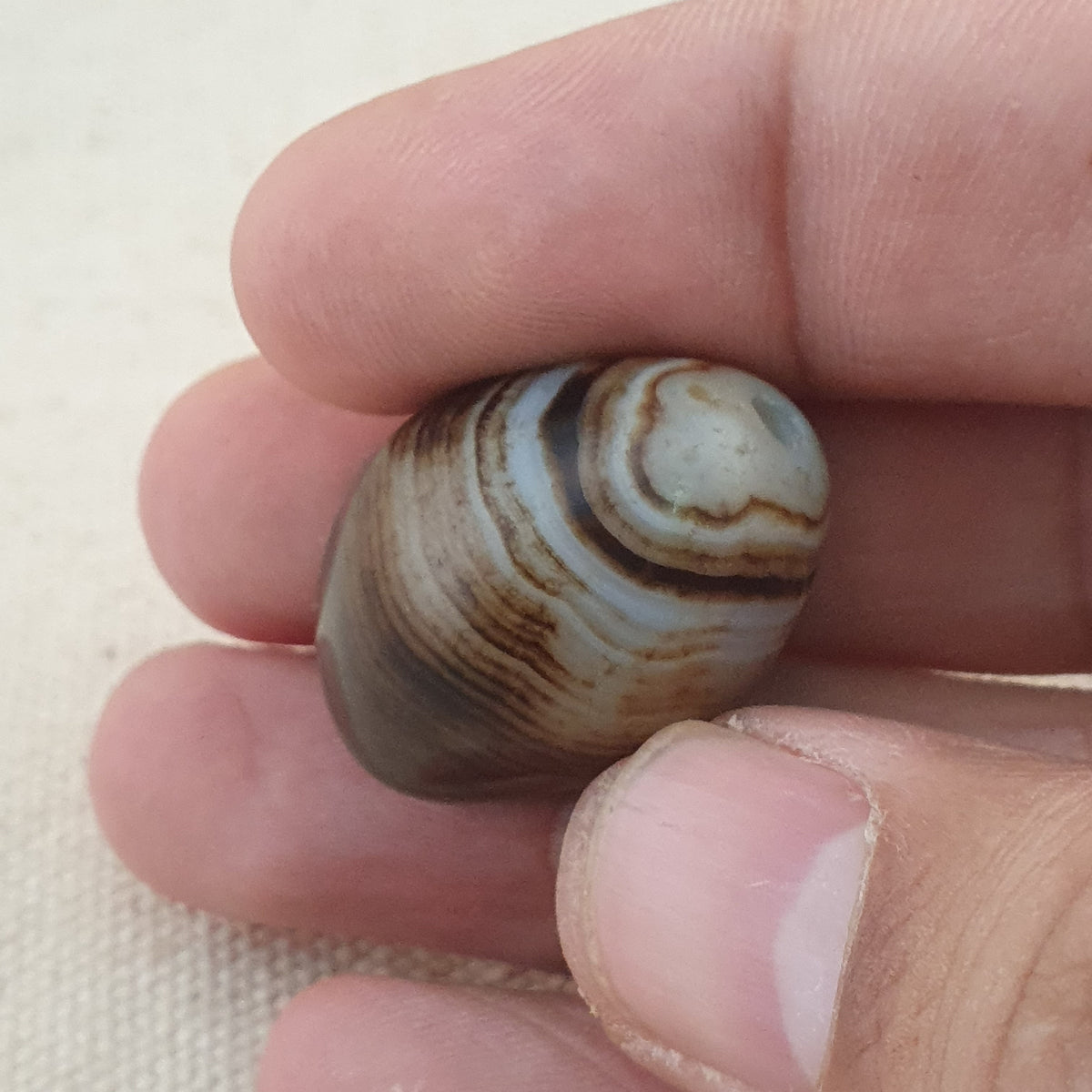 Natural Eyes Pattern Suliemani Agate Bead Amulet
