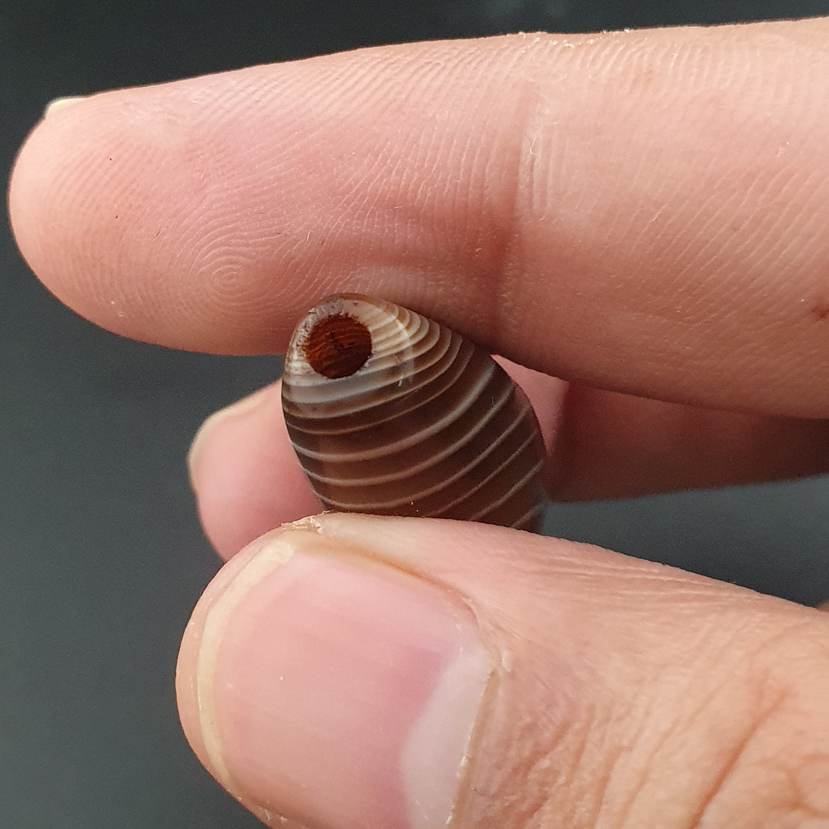 Vintage Natural Eye Suliemani Agate Beads Amulet Lot Of 3