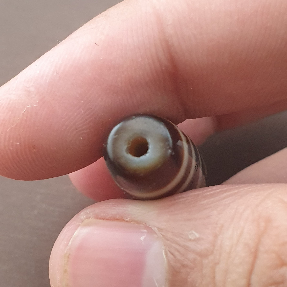 Amulette ancienne de perle Dzi en agate tibétaine de l'Himalaya à 2 yeux