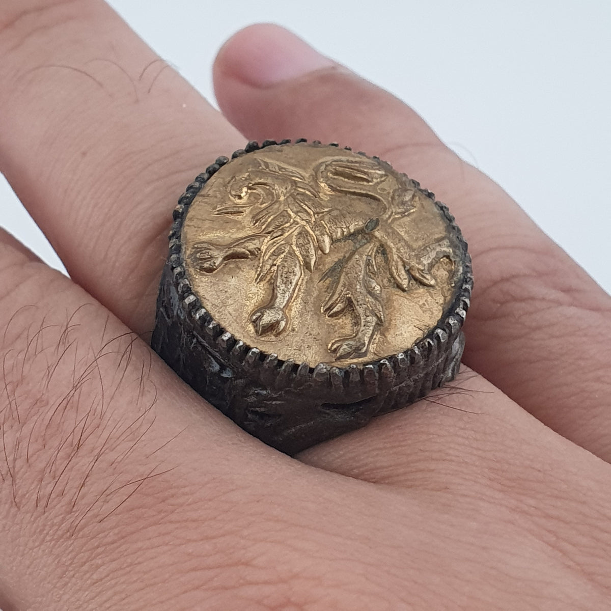Ancient Brass Ring with Mythical Lion Engraving Rustic Statement Jewellery
