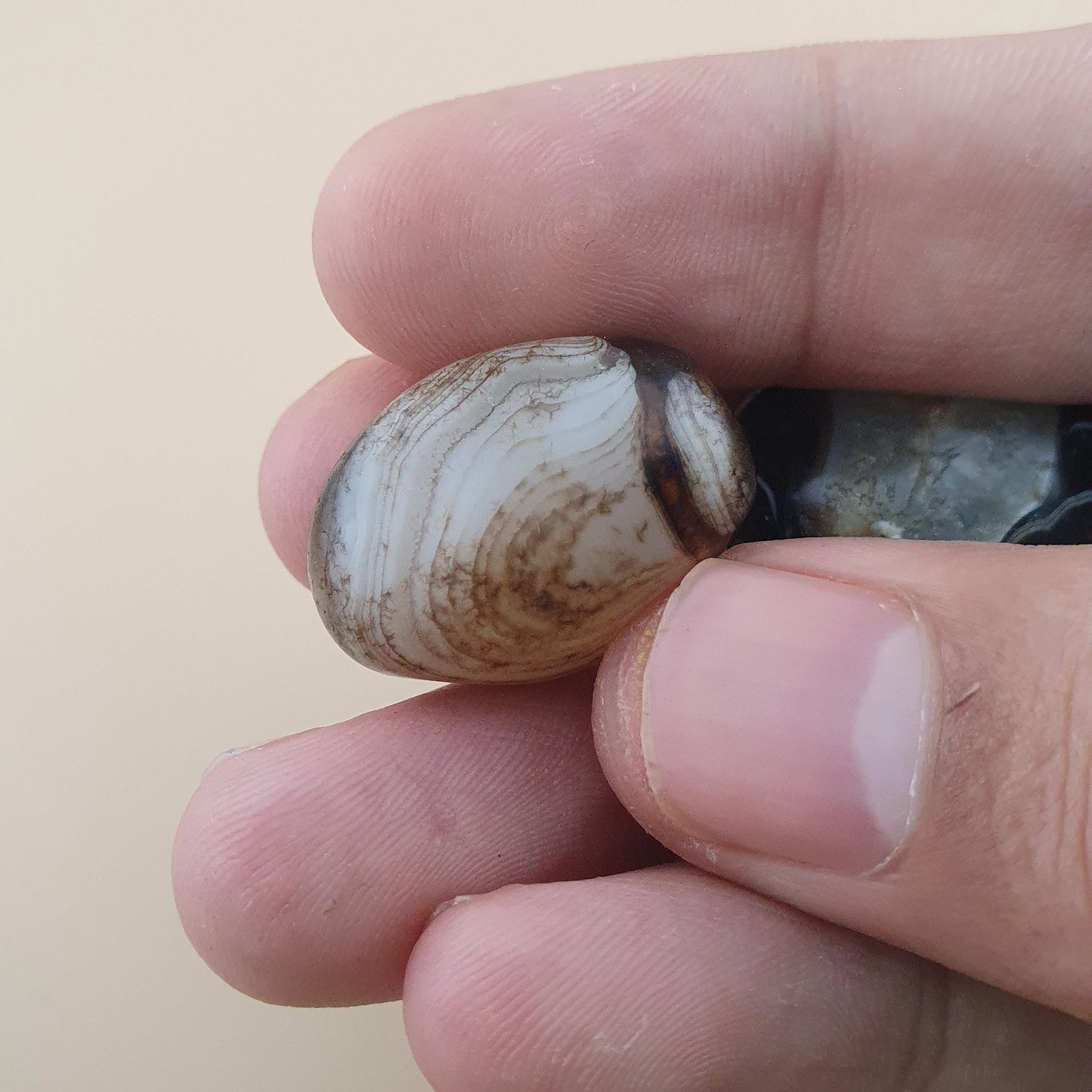 Vintage Suliemani Agate Natural Eyes Agate Bead Amulets