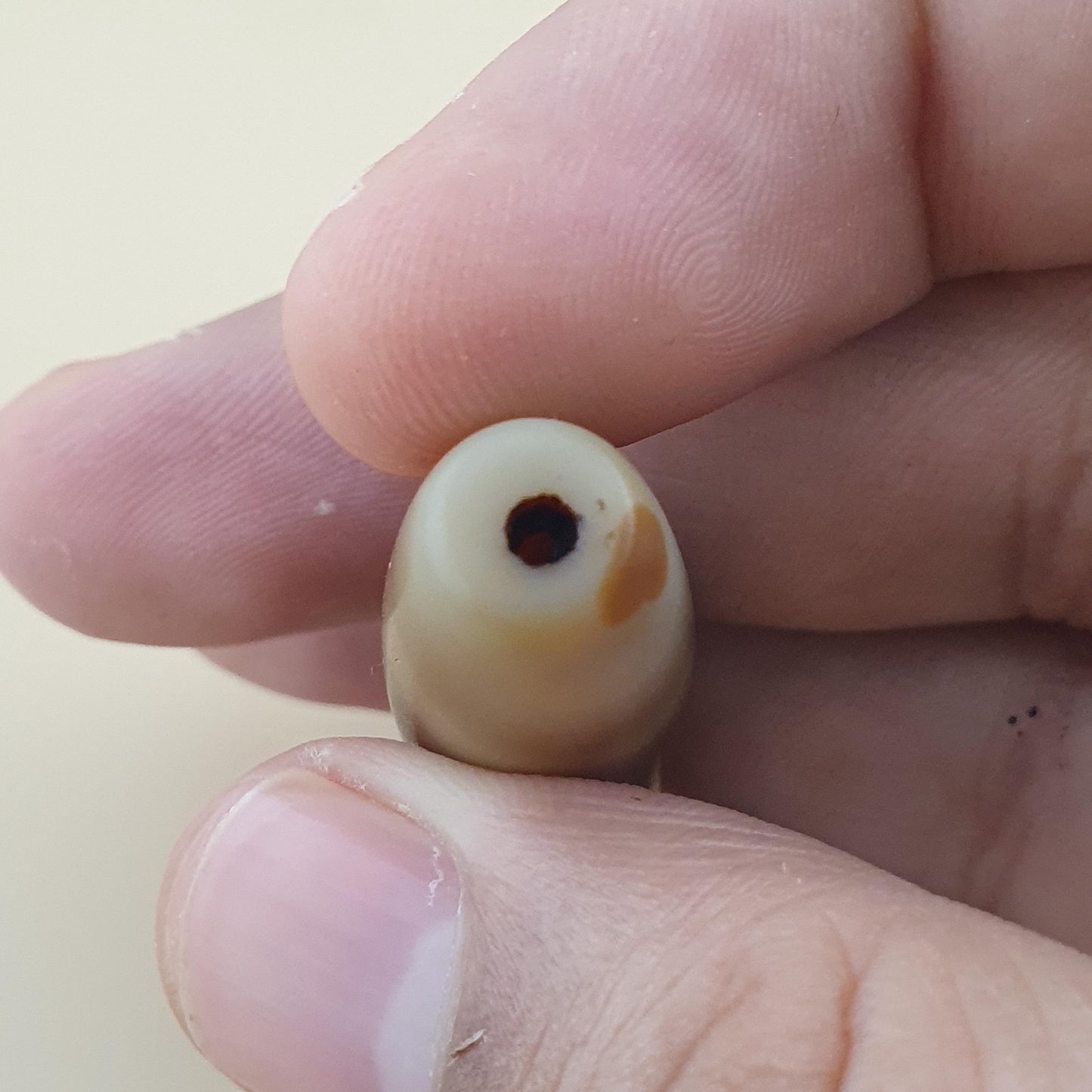 Vintage Middle Eastern Yemeni Suliemani Natural Eye Agate Bead Amulet